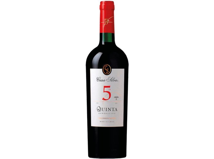Quinta Generación Casa Silva 2022 75 cl CARx6