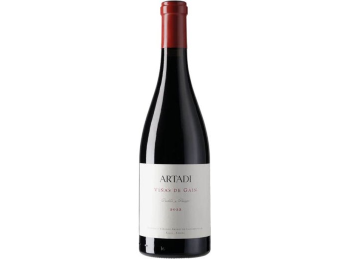 Viñas de Gain tinto Vineyard Selection Álava 2022 75 cl CARx6