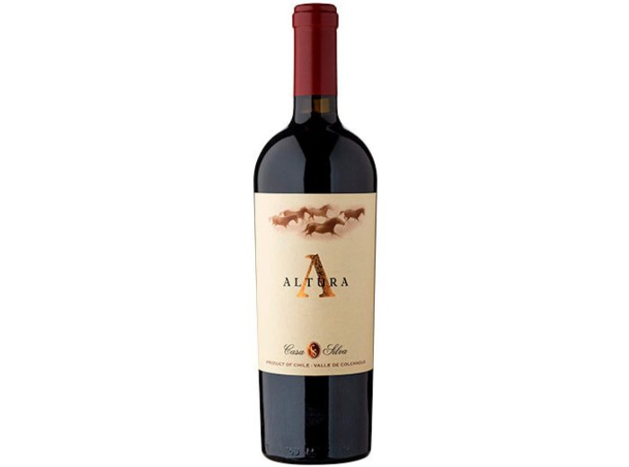 Altura Casa Silva 2019 75 cl CARx6