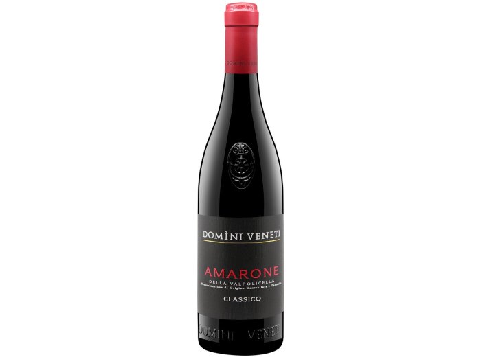 Amarone della Valpolicella Classico Domini Veneti 2021 75 cl CARx6