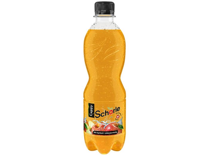 Cappy Schorle PET 50 cl CARx24