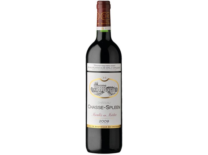 Château Chasse-Spleen Cru Bourgeois Exceptionnel Moulis-en-Médoc AC 2018 75 cl CARx6