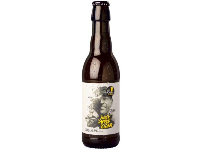 Möhl Juicy Apple Cider 33 cl CARx6