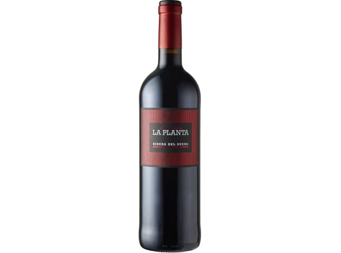 Ribera del Duero D.O. La Planta Bodegas Arzuaga Navarro 2024 75 cl CARx6