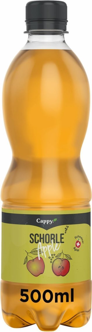Cappy Schorle EW 50 cl CARx24