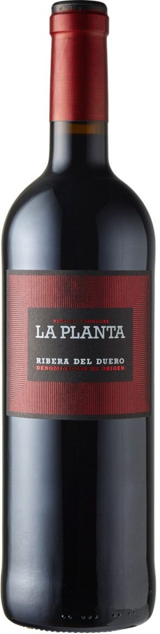 Ribera del Duero D.O. La Planta Bodegas Arzuaga Navarro CARx6