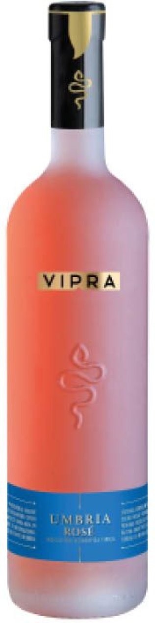 Vipra rosa CARx6