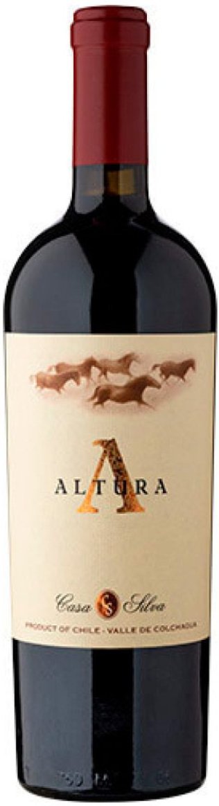 Altura Casa Silva 2019 75 cl CARx6