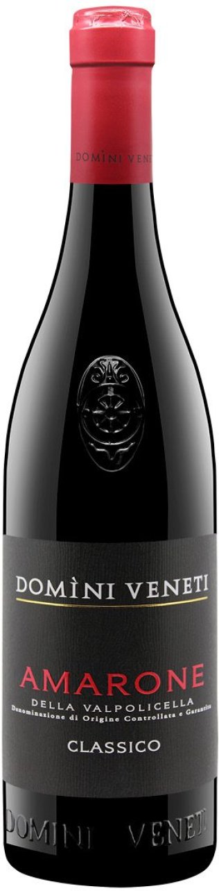 Amarone della Valpolicella Classico Domini Veneti 2021 75 cl CARx6