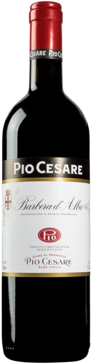 Barbera d'Alba DOC Pio Cesare 2024 75 cl CARx6
