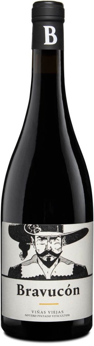 Bravucón Crianza Vino de la Tierra de Castilla y León 2020 75 cl CARx6