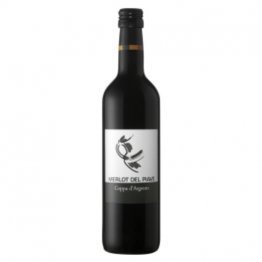 Merlot del Piave DOC Coppa d'Argento 50 cl VINIx15