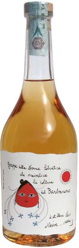 Levi Grappa di Barbaresco CARx6