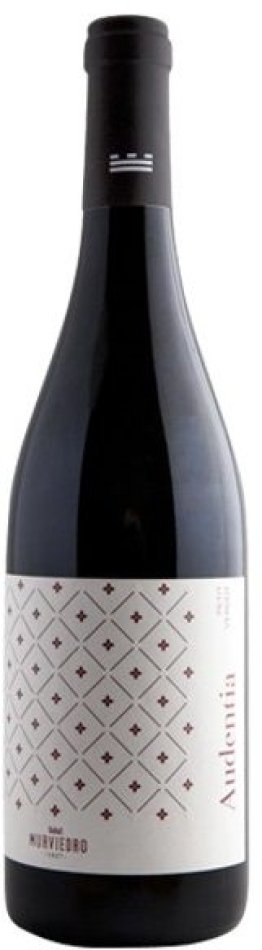 Audentia Petit Verdot Vino de España CARx6