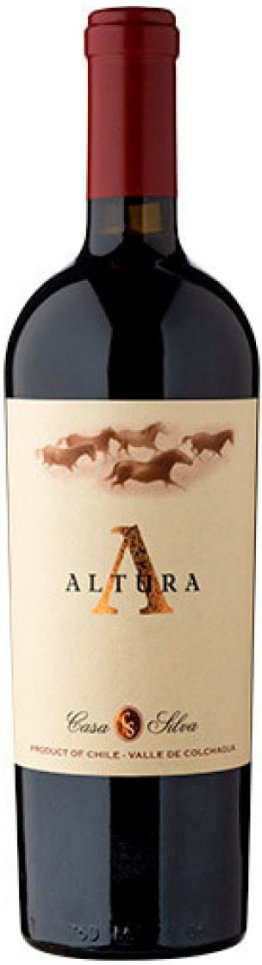 Altura Casa Silva 2019 75 cl CARx6