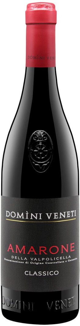 Amarone della Valpolicella Classico Domini Veneti 2021 75 cl CARx6