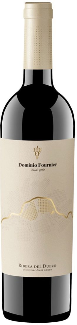 Dominio Fournier Cosecha 2019 75 cl CARx6