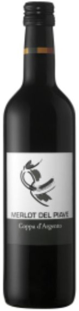 Merlot del Piave DOC Coppa d'Argento 2021 50 cl VINIx15