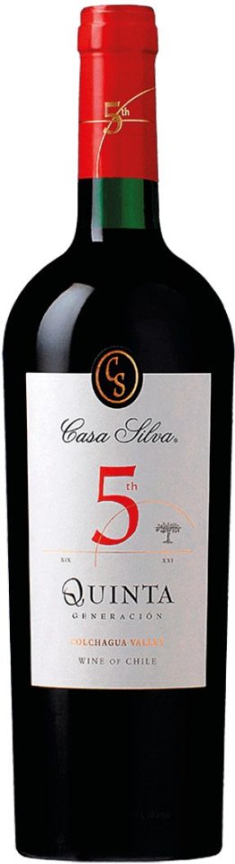 Quinta Generación Casa Silva 2022 75 cl CARx6