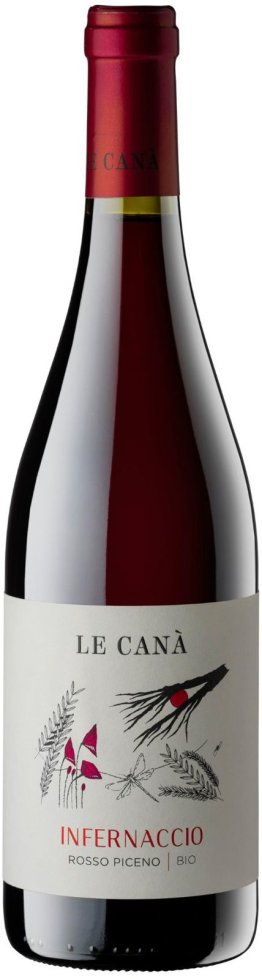 Rosso Piceno DOC Infernaccio 2024 75 cl CARx6