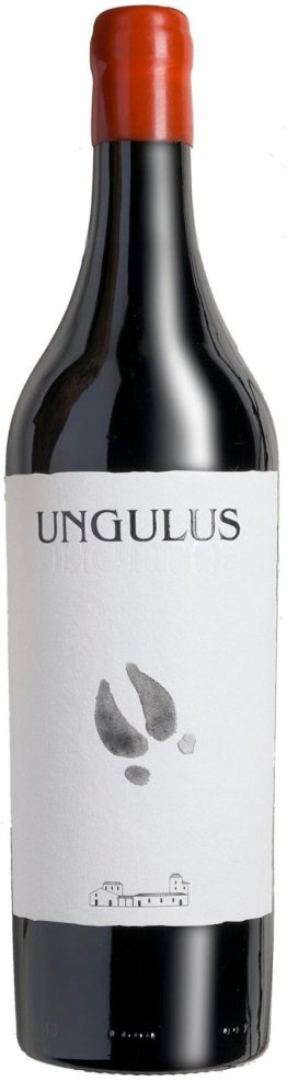 Ticino DOC Cabernet Franc Riserva Ungulus 2023 75 cl CARx6