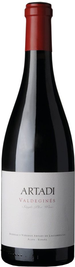 Valdeginés Single Plot Wine Álava 2021 75 cl CARx6