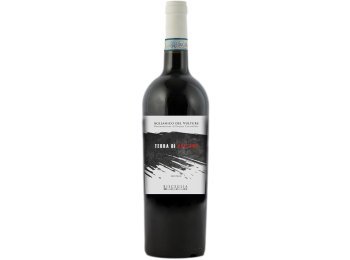 Aglianico del Vulture Terra di Vulcano DOC 2019 75 cl CARx6