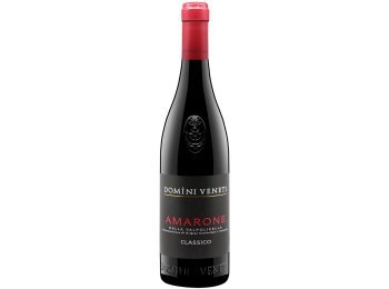 Amarone della Valpolicella Classico Domini Veneti 2021 75 cl CARx6