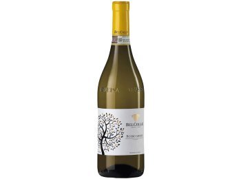 Bel Colle Roero Arneis DOCG 2025 75 cl CARx6