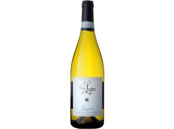 Casa Lupo Lugana DOC Paladin 2024 75 cl CARx6