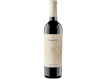 Dominio Fournier Cosecha 2019 75 cl CARx6