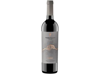 Dominio Fournier Reserva 2019 75 cl CARx6