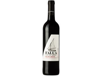 Duas Castas Falua Regional Tejo Red 2022 75 cl CARx6