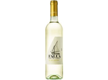 Duas Castas Falua Regional Tejo White 2022 75 cl CARx6