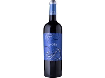 Evodia Vino de España 2023 75 cl CARx6