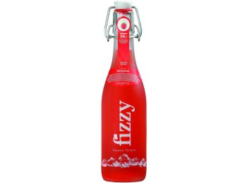 Fizzy Gazzosa Lampone Glas 35 cl HARx20