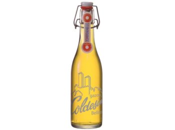 Gazosa Coldesina Aranciata Amara Glas 35 cl HARx20