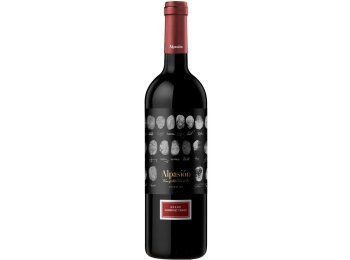 Grand Cabernet Franc Mendoza 2023 75 cl CARx6
