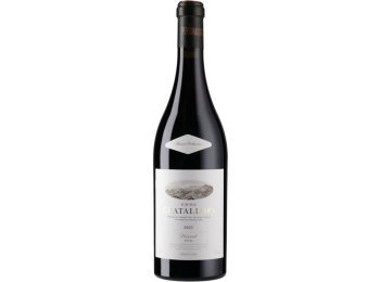 Gratallops Alvaro Palacios 2022 75 cl CARx6