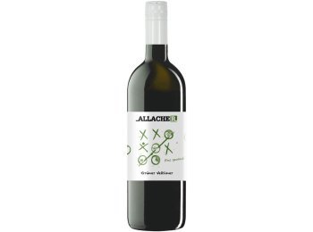 Grüner Veltliner Burgenland 2025 75 cl CARx6