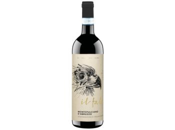 Il Falco Montepulciano d’Abruzzo DOC 2024 75 cl CARx6