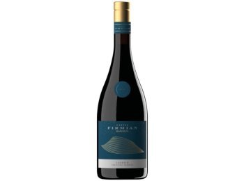 Lagrein Riserva Trentino DOC Castel Firmian Mezzacorona 2022 75 cl CARx6