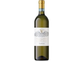 Langhe Arneis DOC Villa Carena San Giorgio Monferrato 2025 75 cl CARx6