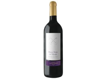 Les Clés de St-Pierre Pentes Rôties Pinot Noir du Valais AOC 2023 75 cl CARx6