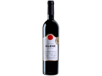 Merlot AOC Valais Silène 2022 75 cl CARx6