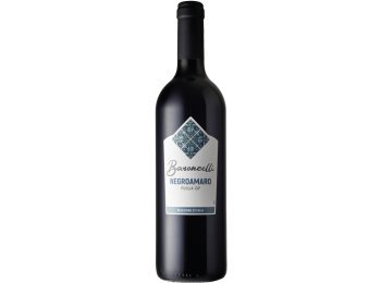 Negroamaro Puglia IGP Baroncelli Selezione D'Italia 2023 75 cl CARx6