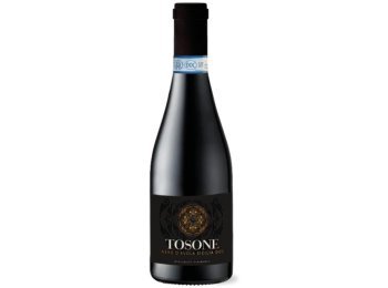 Nero d`Avola Sicilia DOC Tosone 2024 37.5 cl CARx6