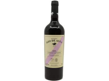 Ojo de Agua Cabernet Sauvignon von Dieter Meier 2021 75 cl CARx6