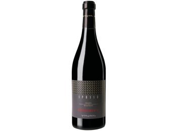 Piemonte DOC Rosso Passito "Spasso" 2021 75 cl CARx6