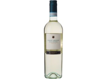 Pinot Grigio Venezie DOC 2025 75 cl CARx6